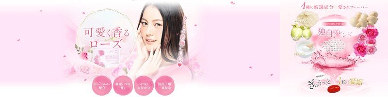 ��������G�`�P�b�g�T�v���u���f�B�[�Y���[�Y�v���T�C�g